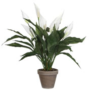 plante artificielle - spathiphyllum blanc - mica